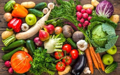 Les légumes poussent dans notre Arbre
